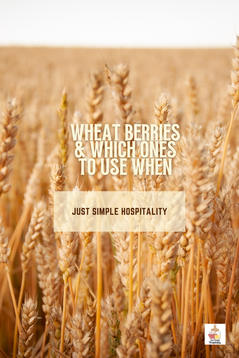 Wheat Berries & Which Ones To Use When